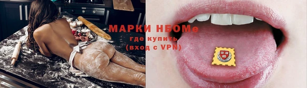 СК Алексин