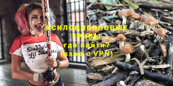 крисы Алзамай
