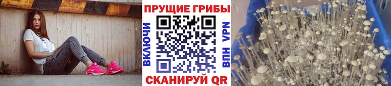 Галлюциногенные грибы ЛСД магазин продажи Себеж